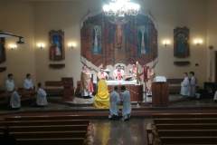 dig